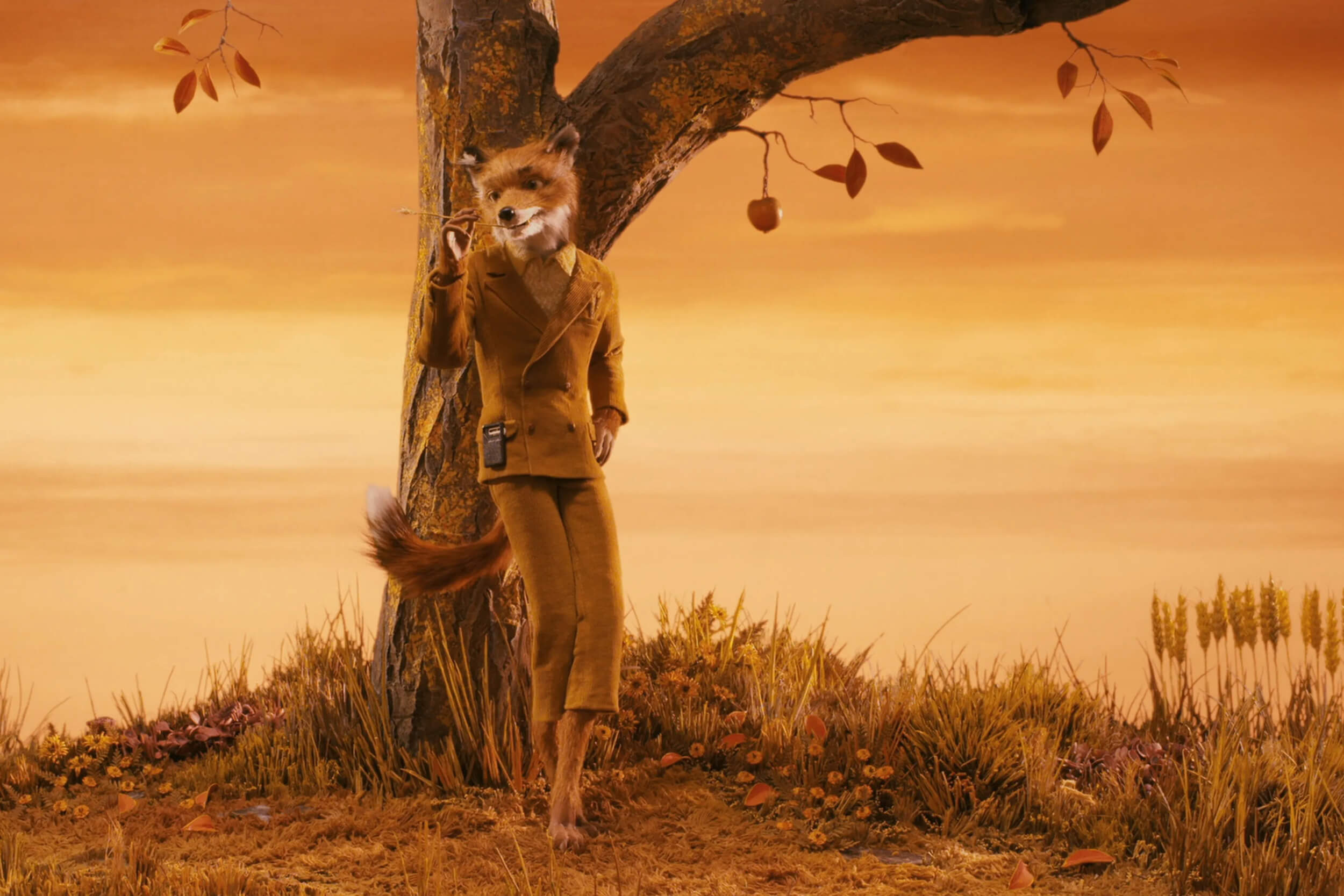 Кадр фильма «Бесподобный мистер Фокс» // 20th Century Fox Animation