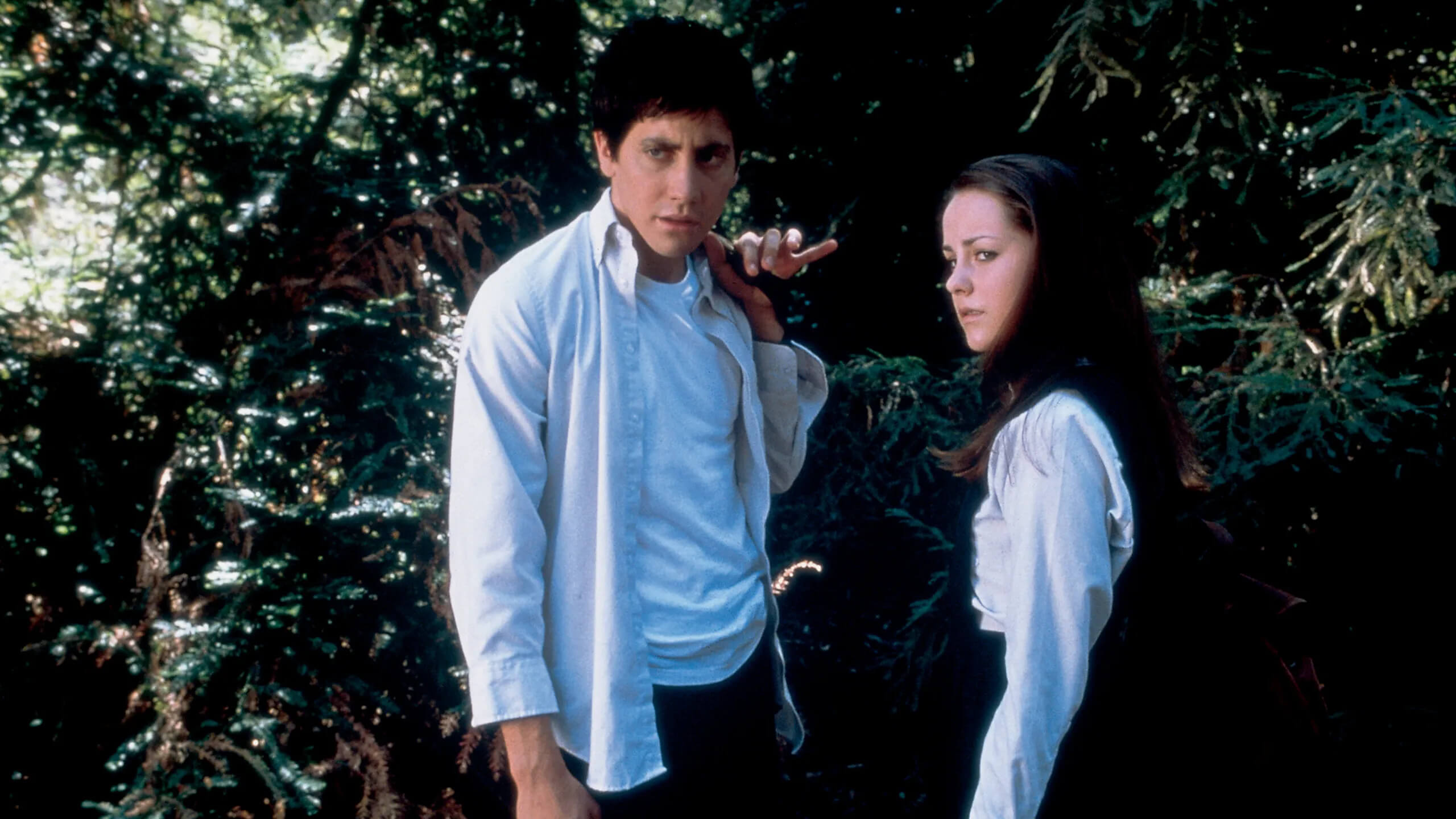 Кадр фильма «Донни Дарко» //Flower Films