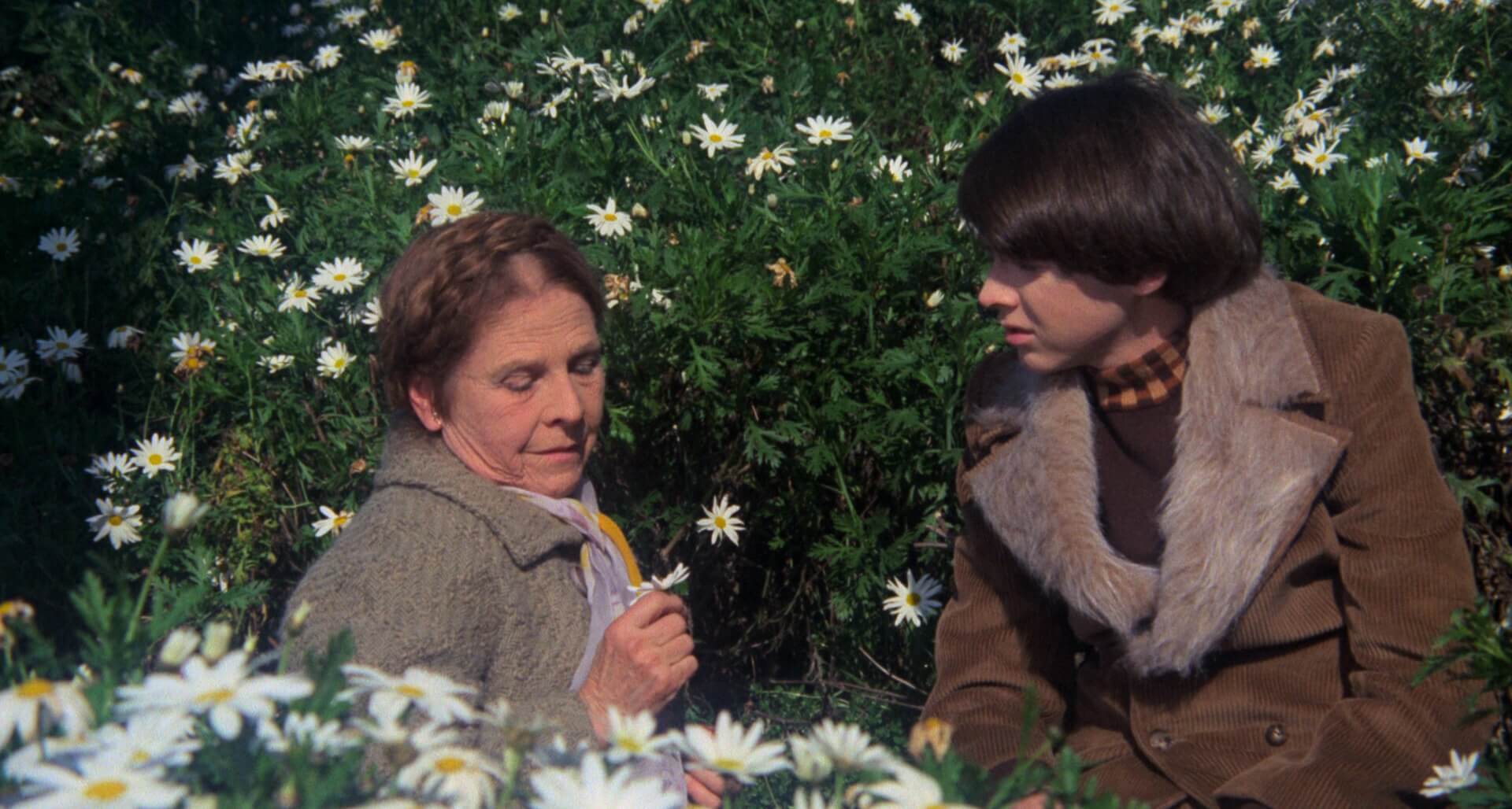 Кадр фильма «Гарольд и Мод» // Paramount Pictures