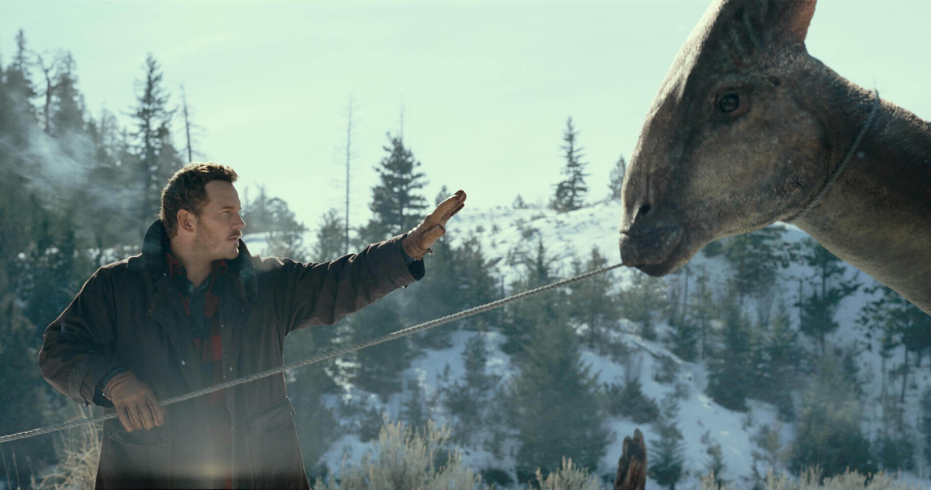 Кадр фильма «Мир Юрского периода: Господство» // Amblin Entertainment