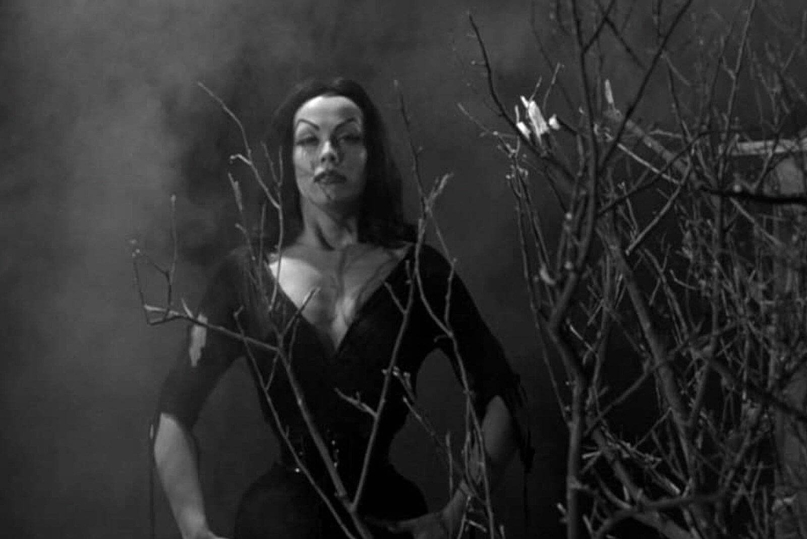 Кадр фильма «План 9 из открытого космоса» // Reynolds Pictures, Inc.