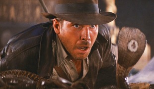 Харрисон Форд обиделся на учёных, назвавших в честь него новый вид змей