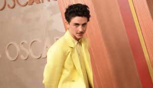 Тимоти Шаламе заявил, что опера и балет никому не нужны